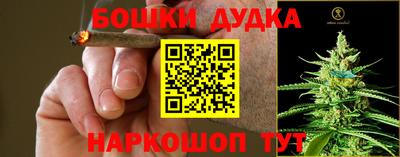 spice Балахна
