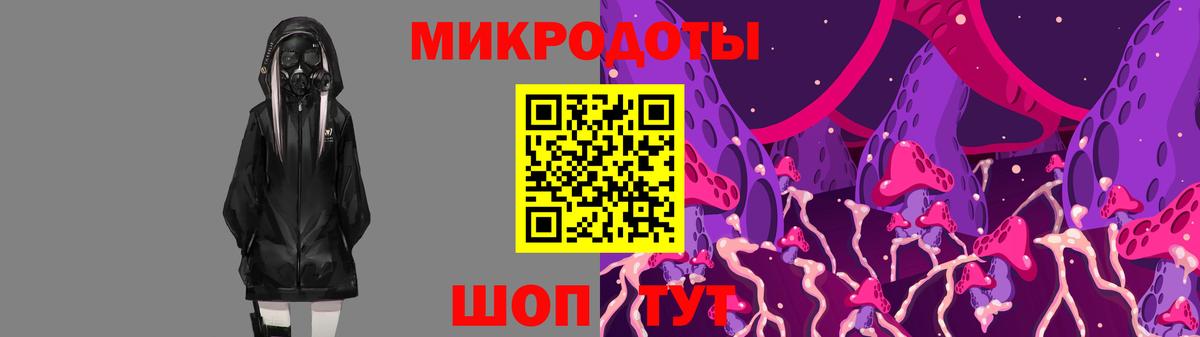 Галлюциногенные грибы Cubensis  Вход с VPN  Гай 