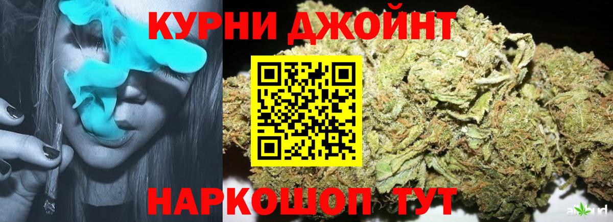 Конопля планчик  Марихуана конопля  Каннабис план  Гай  Вход с VPN 